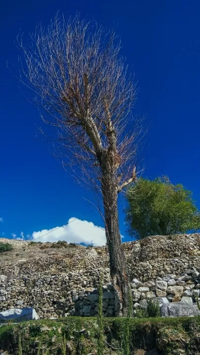 Photo of Nako, Himachal Pradesh, India by Sudha Kumari