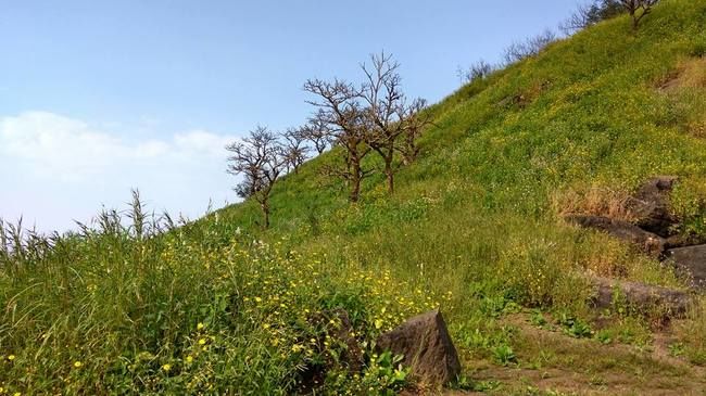 Photo of One day trek from Pune and Mumbai: Rajmachi Fort trek!!! by Sudha Kumari