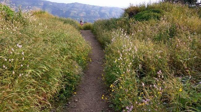 Photo of One day trek from Pune and Mumbai: Rajmachi Fort trek!!! by Sudha Kumari