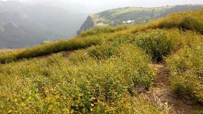 Photo of One day trek from Pune and Mumbai: Rajmachi Fort trek!!! by Sudha Kumari