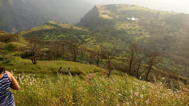 Photo of One day trek from Pune and Mumbai: Rajmachi Fort trek!!! by Sudha Kumari