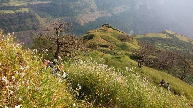 Photo of One day trek from Pune and Mumbai: Rajmachi Fort trek!!! by Sudha Kumari