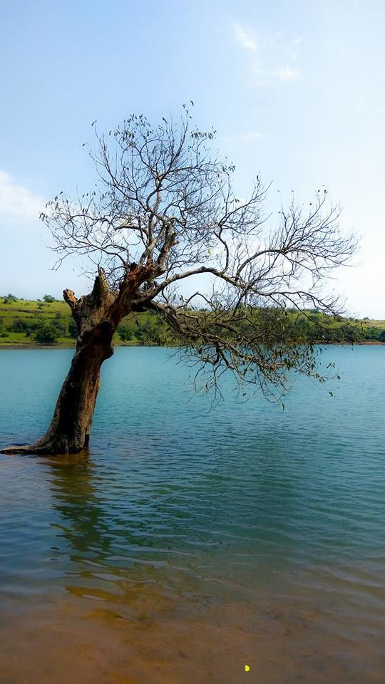 Photo of One day trek from Pune and Mumbai: Rajmachi Fort trek!!! by Sudha Kumari