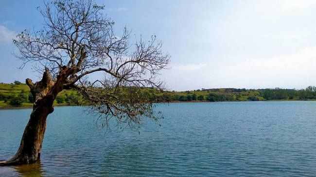 Photo of One day trek from Pune and Mumbai: Rajmachi Fort trek!!! by Sudha Kumari