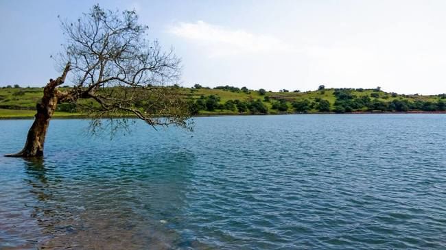 Photo of One day trek from Pune and Mumbai: Rajmachi Fort trek!!! by Sudha Kumari