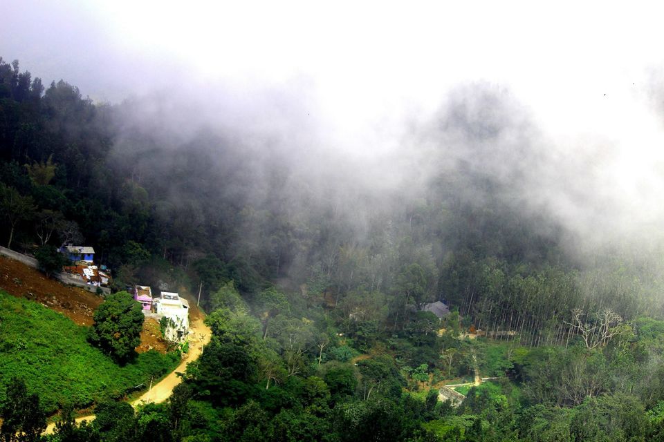 Photo of Yercaud: Jewel of the South/ Lake Forest 13/19 by Sudha Kumari