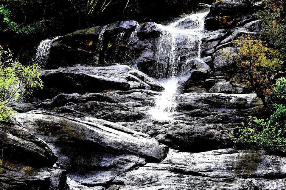 Photo of Yercaud: Jewel of the South/ Lake Forest 14/19 by Sudha Kumari