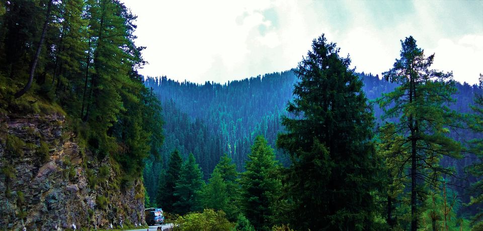 Photo of Narkand, Himachal Pradesh, India by Sudha Kumari