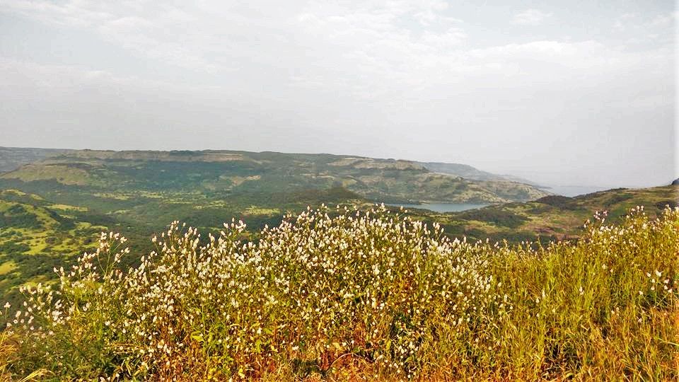 Photo of One day trek from Pune and Mumbai: Rajmachi Fort trek!!! 1/1 by Sudha Kumari