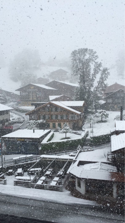 Photo of Lost in Paradise 1/24 by Janhavi Jain
