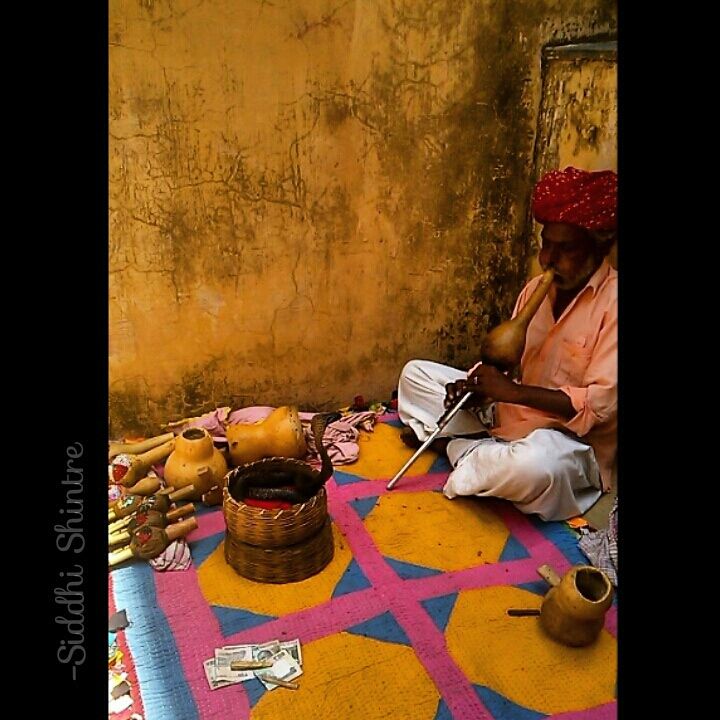Photo of Beauty of Rajasthan, Jaipur and Jodhpur by Siddhi Shintre