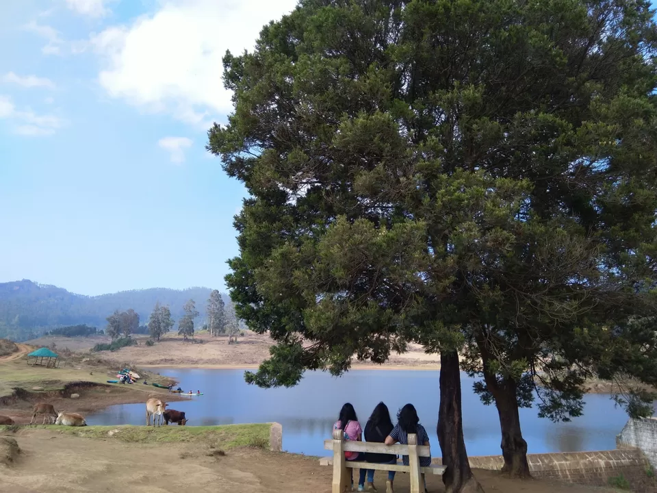Photo of A trip to Kodaikanal. #Precovid by Mrunali Thakore