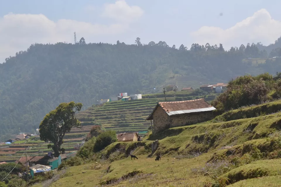 Photo of A trip to Kodaikanal. #Precovid by Mrunali Thakore