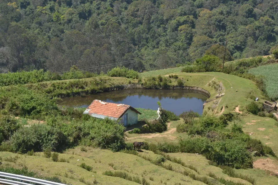 Photo of A trip to Kodaikanal. #Precovid by Mrunali Thakore