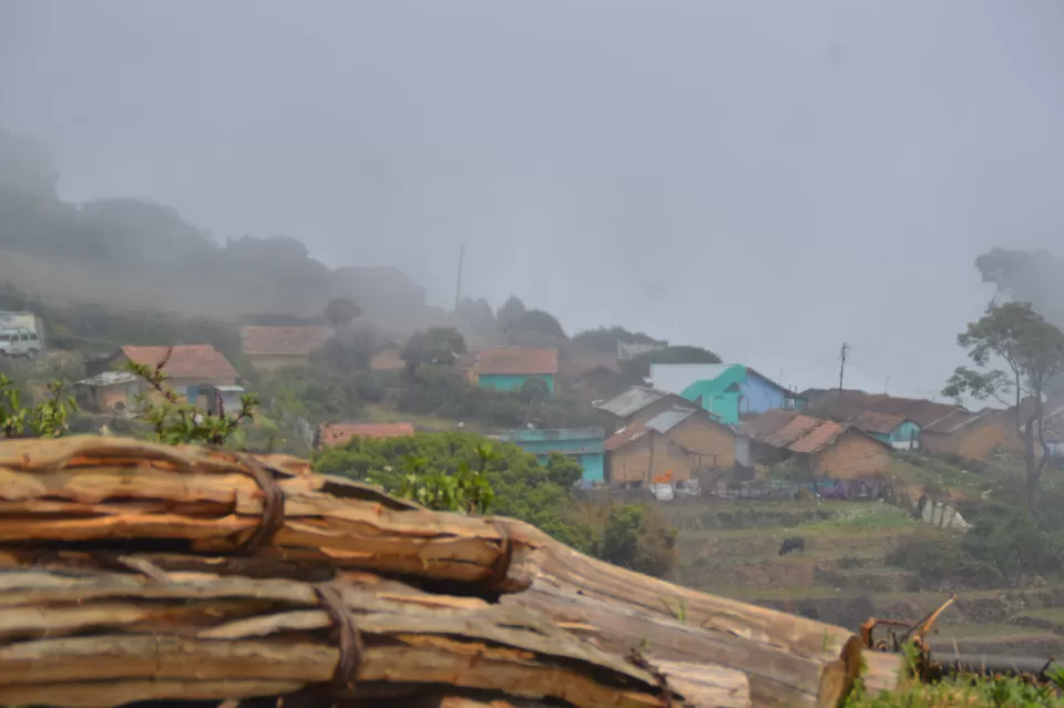 Photo of A trip to Kodaikanal. #Precovid by Mrunali Thakore