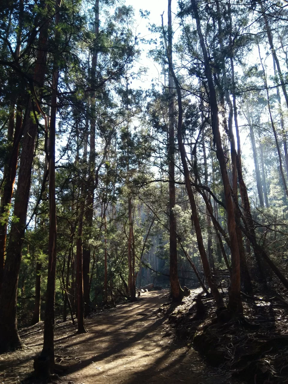 Photo of A trip to Kodaikanal. #Precovid by Mrunali Thakore