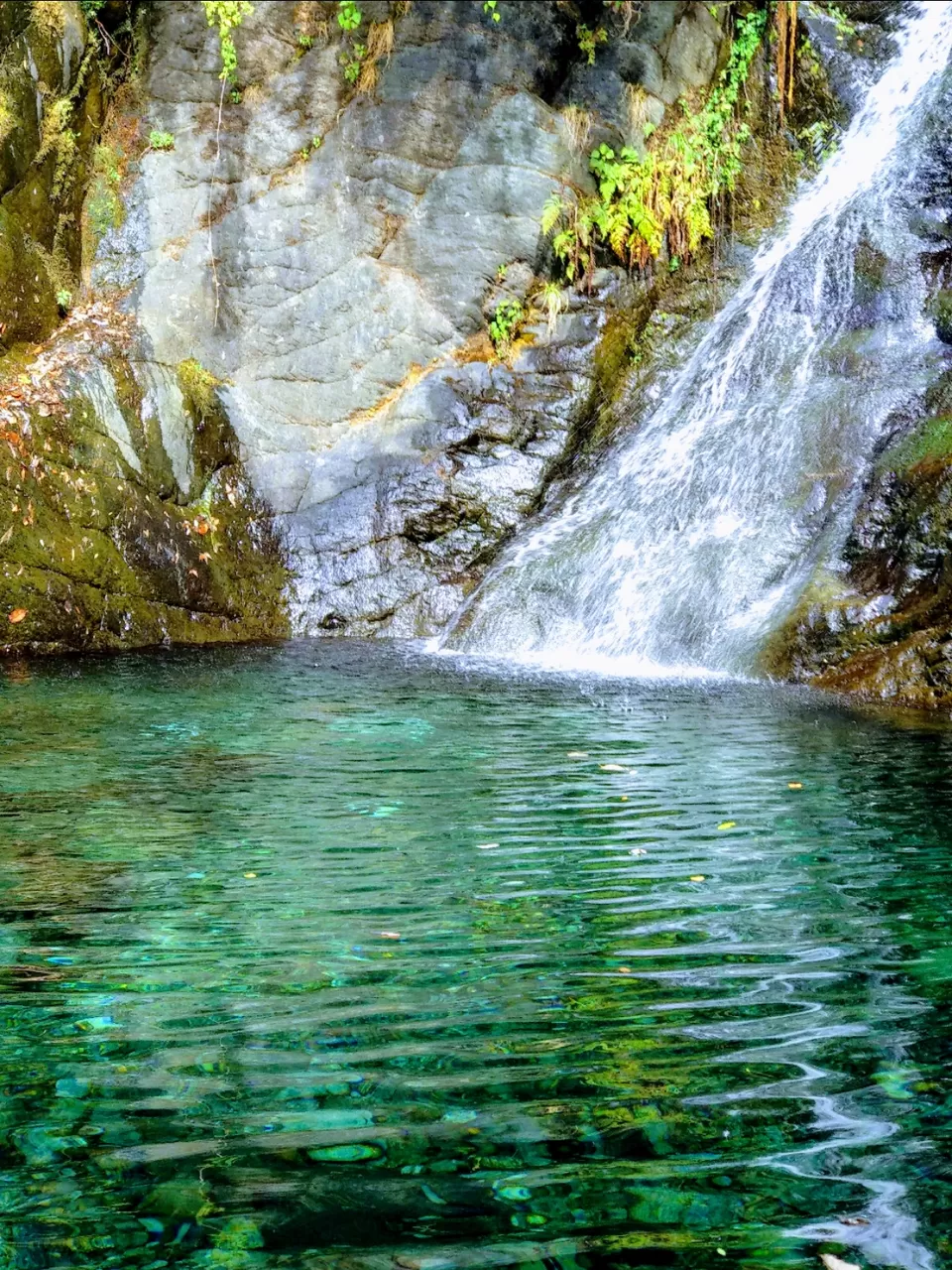 Photo of Bhagsunag Waterfall Dharmshala, Dharamshala, Himachal Pradesh, India by Rohit pandey