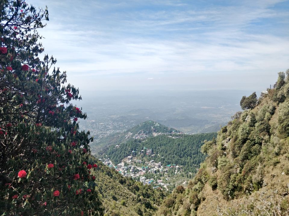 Photo of A 14 hour drive to heaven ! Mcleodganj diaries by Pulkit Piplani