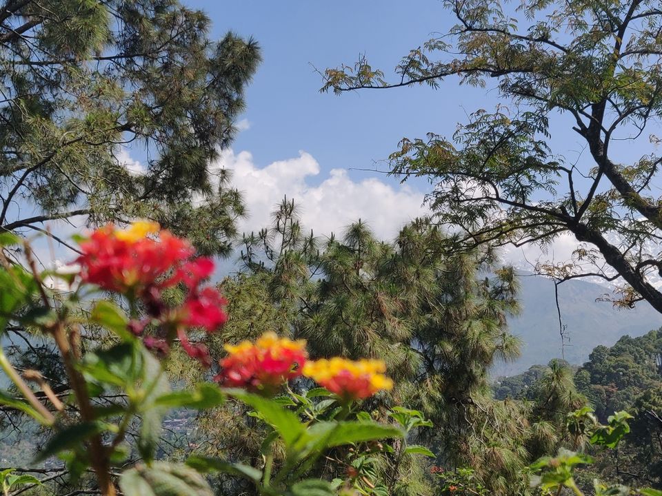Photo of A 14 hour drive to heaven ! Mcleodganj diaries by Pulkit Piplani