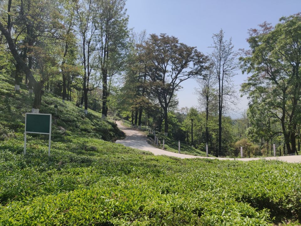 Photo of A 14 hour drive to heaven ! Mcleodganj diaries by Pulkit Piplani
