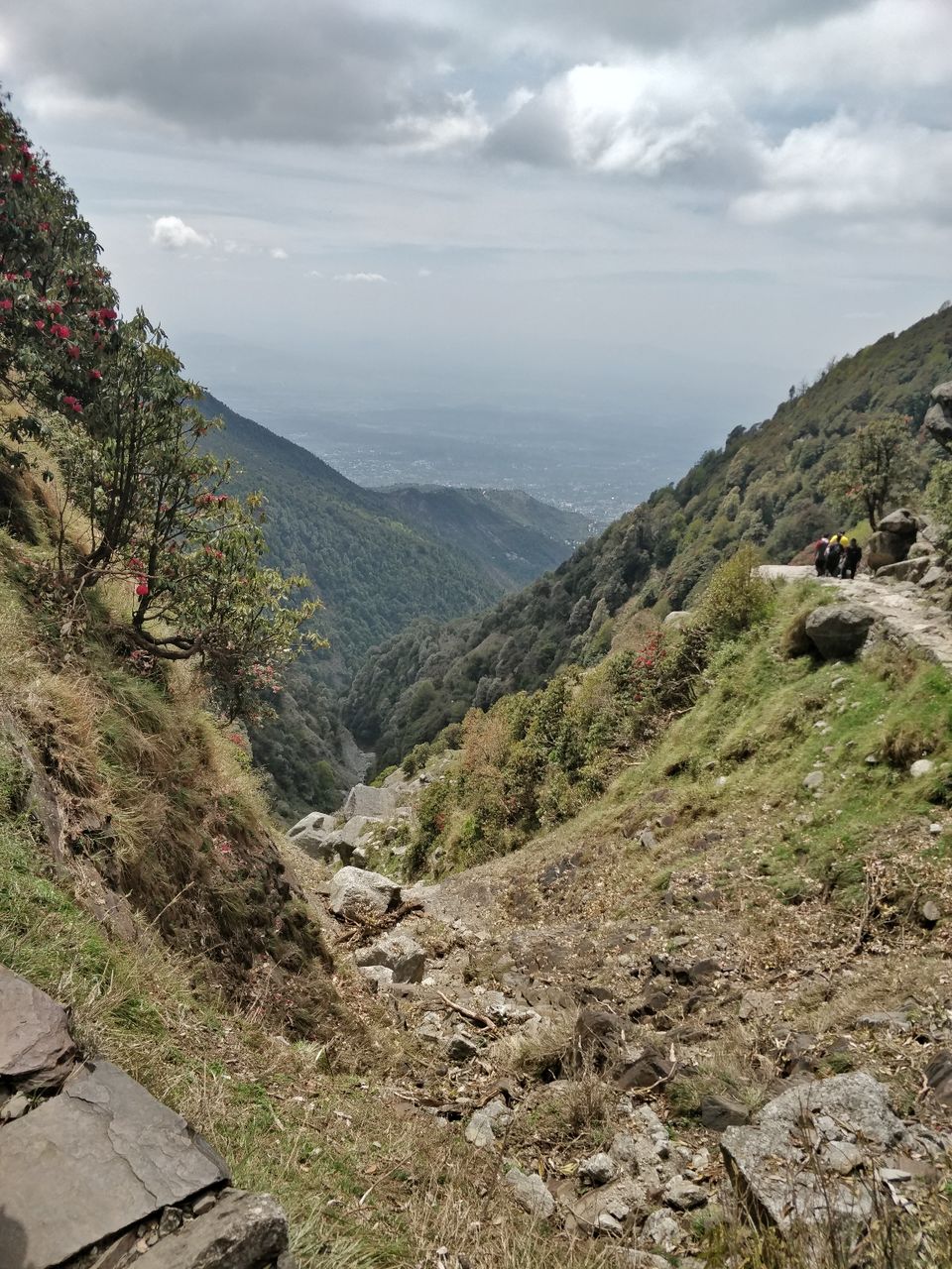 Photo of A 14 hour drive to heaven ! Mcleodganj diaries by Pulkit Piplani