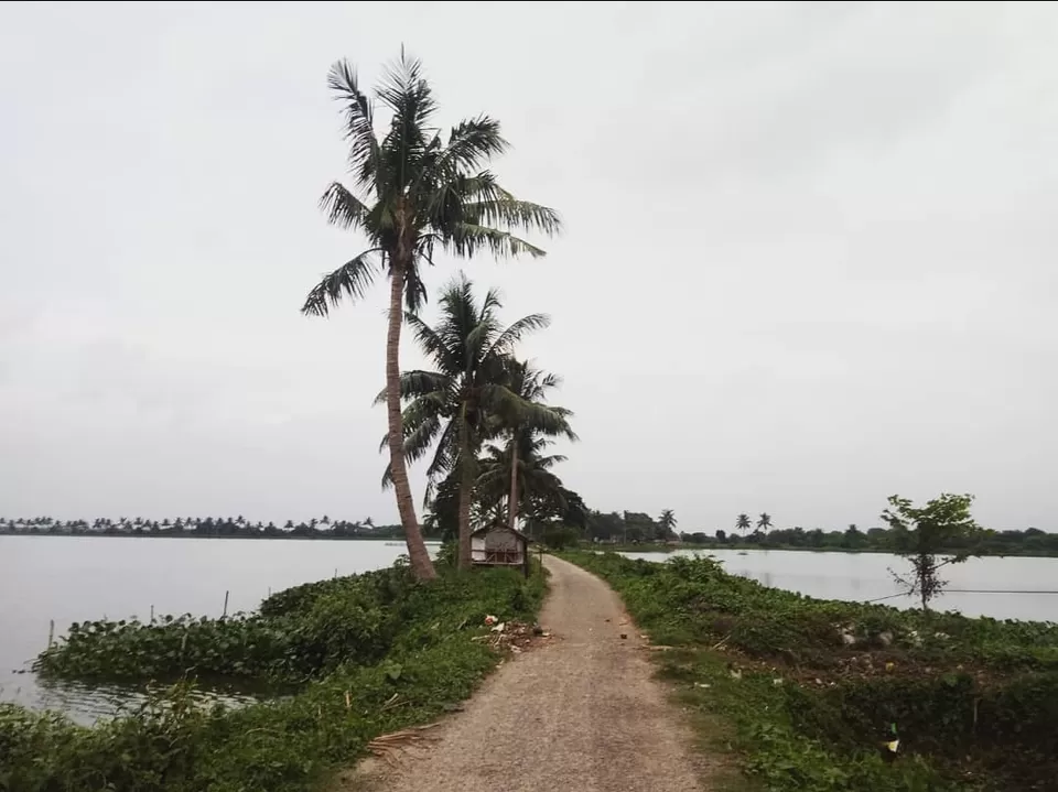 Photo of Bidhannagar, Kolkata, West Bengal, India by Yashaswi Pathak