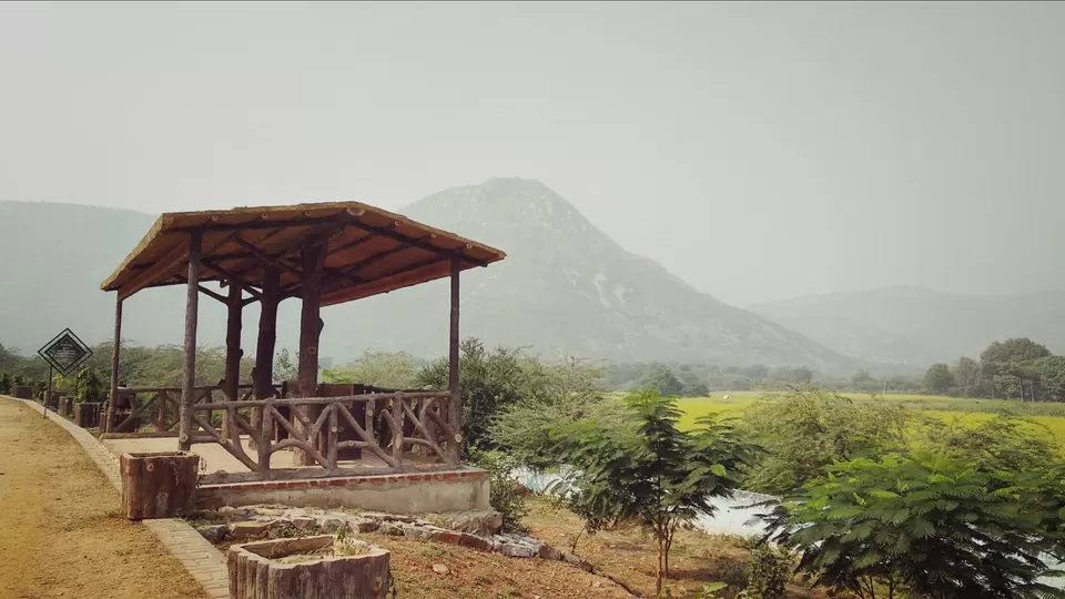 Photo of Rajasthan by Harshrajsinh Gohil