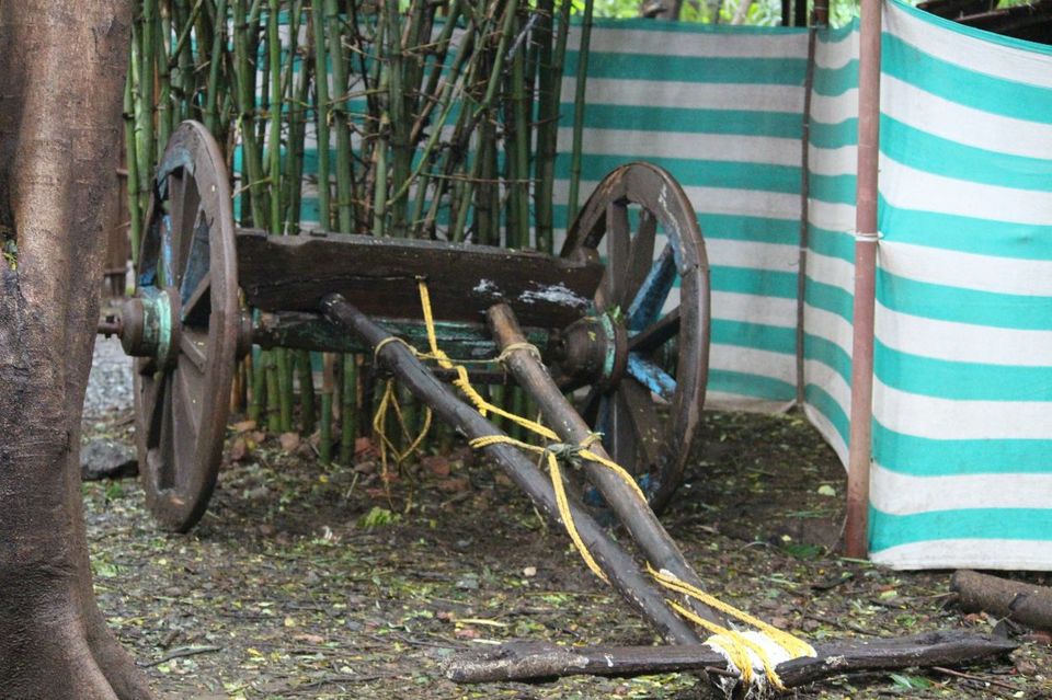 Photo of Hidden Village : A hidden gem outskirts of Mumbai#CoupleFriendly #offbeatgetaway by Sayali