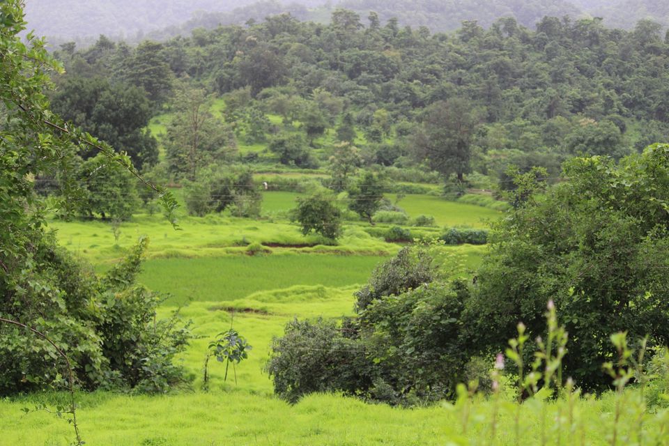 Photo of Hidden Village : A hidden gem outskirts of Mumbai#CoupleFriendly #offbeatgetaway by Sayali
