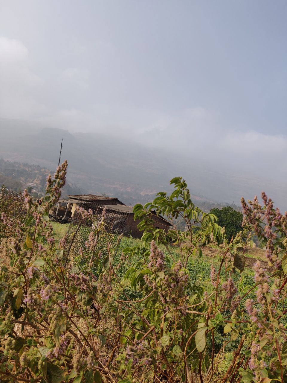 Photo of kalsubai Treking And Camping, Bari, Maharashtra, India by Sayali