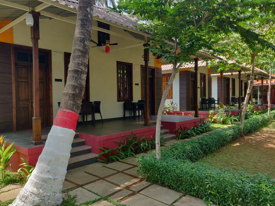 Photo of Nagaonchi Wadi, Nagaon Bandar Road, Near Indian Post And Telegraph Department, Varchi Ali, Nagaon, Maharashtra, India by Sayali