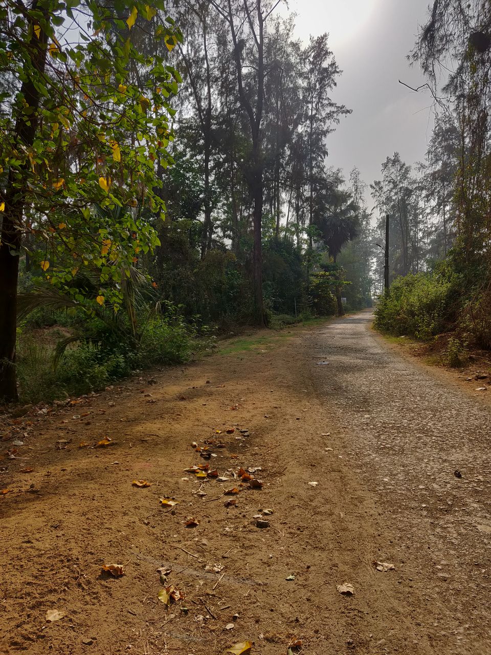 Photo of Nagaon Beach Alibaug, Pen, Maharashtra, India by Sayali