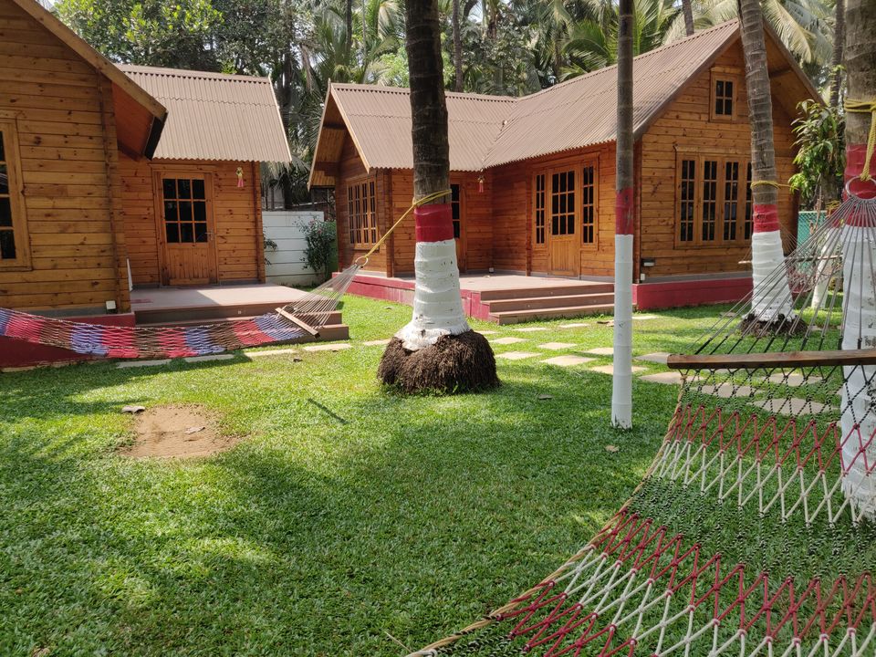 Photo of Nagaonchi Wadi, Nagaon Bandar Road, Near Indian Post And Telegraph Department, Varchi Ali, Nagaon, Maharashtra, India by Sayali