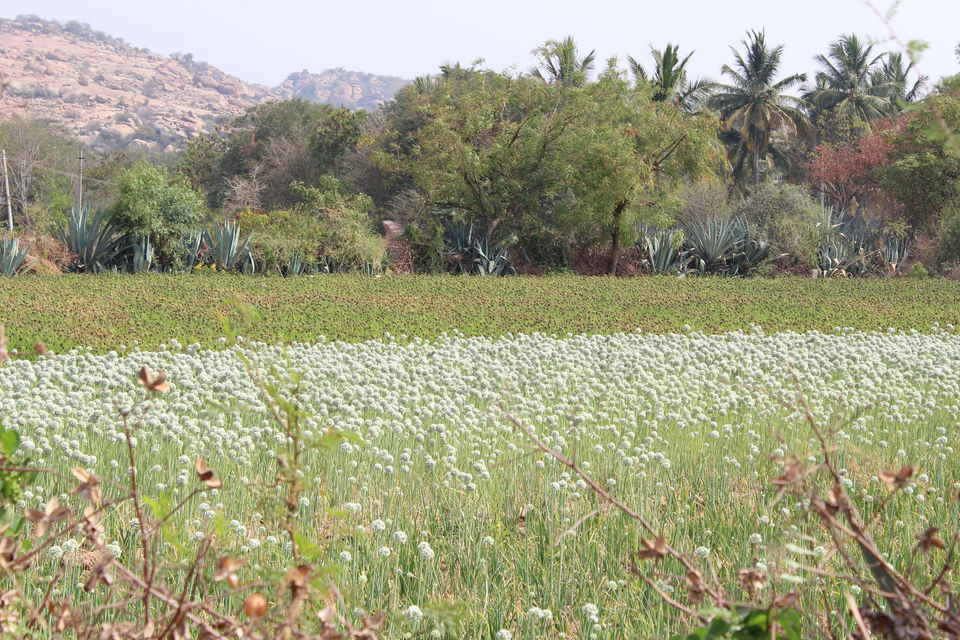 Photo of Ride to Hampi. 4/10 by Jenson Joshy