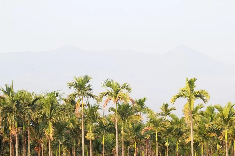 Photo of Dhyanalinga, Booluvampatti, Tamil Nadu, India by Travel Yogi