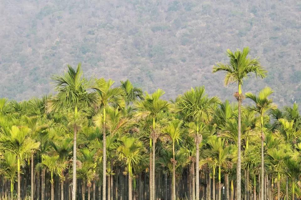 Photo of Dhyanalinga, Booluvampatti, Tamil Nadu, India by Travel Yogi