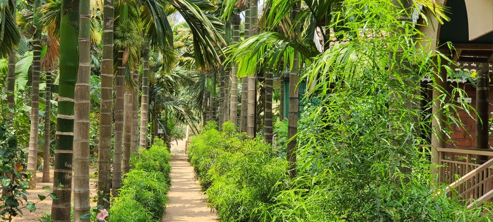 Photo of Evergreen Farmhouse, Gokarna, Karnataka, India by Pushpa Sharma