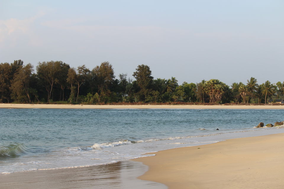 Photo of Delta Point, Kodi Bengare-Hoode Road, Kodi Bengare, Karnataka, India by Pushpa Sharma