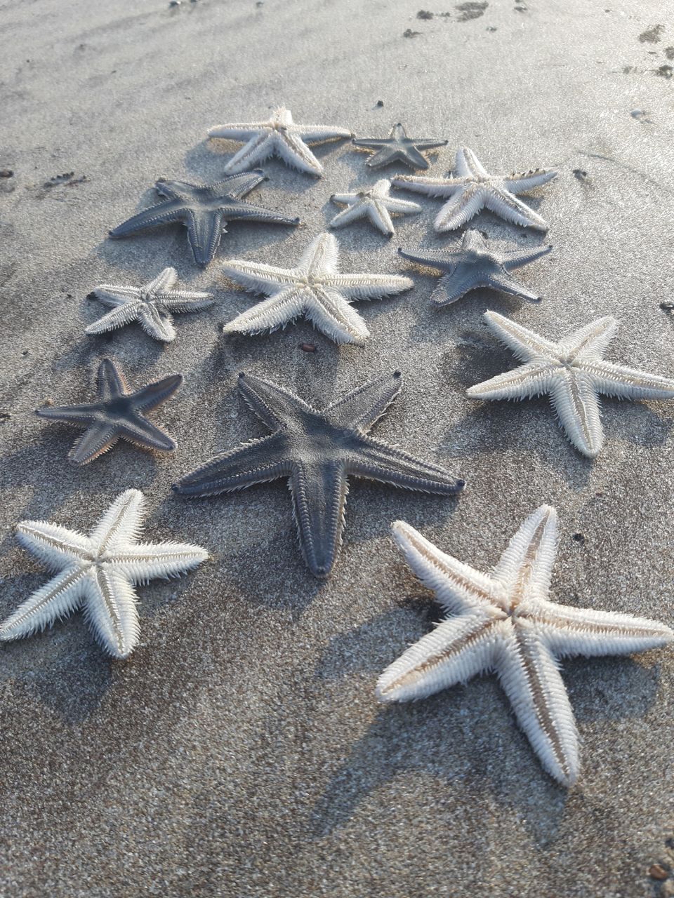 Photo of Karde Beach by shantanu Ghorpade