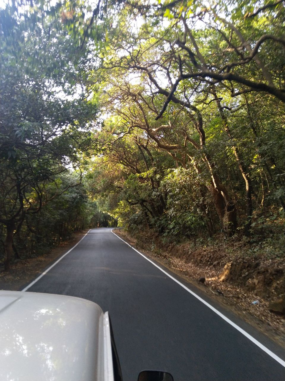 Photo of Karde Beach by shantanu Ghorpade