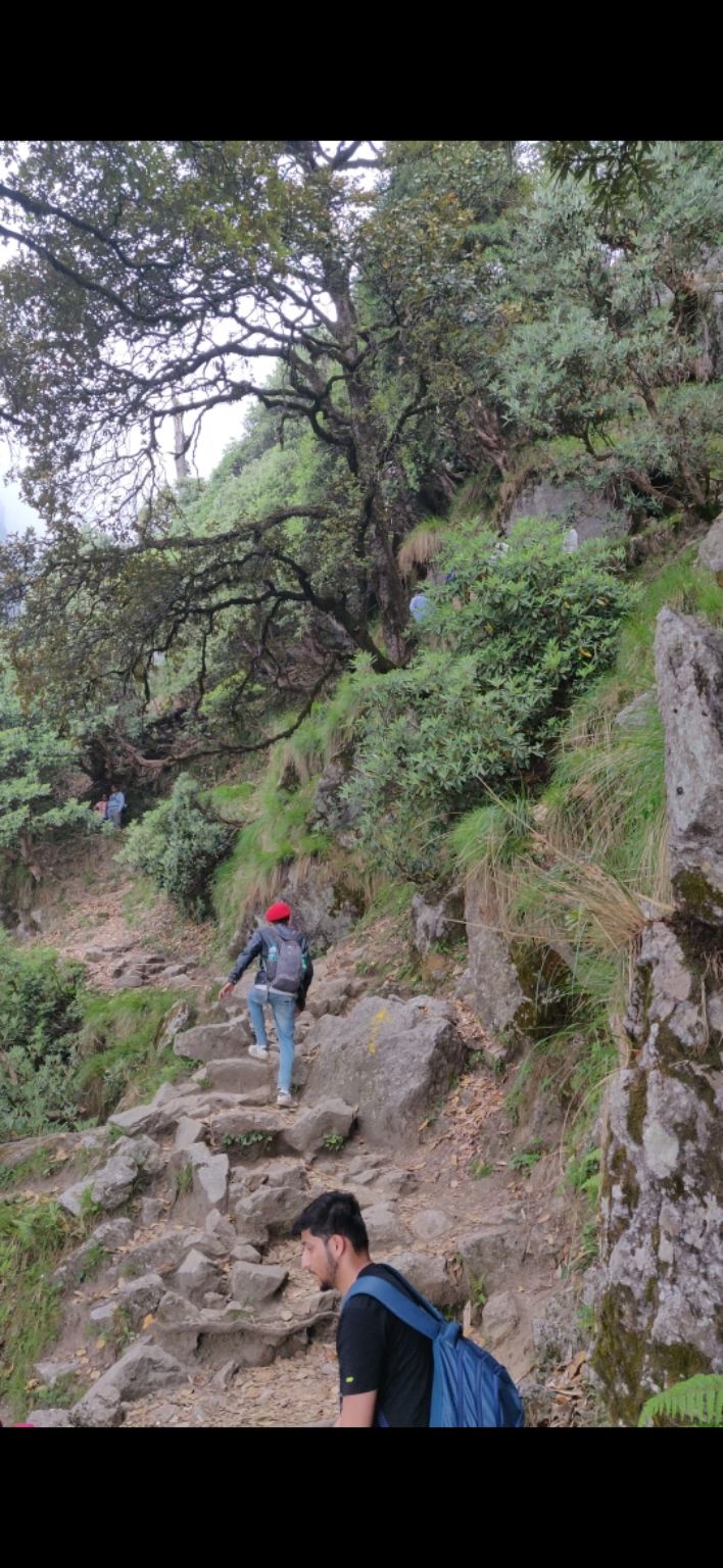 Photo of Triund, Himachal Pradesh by Shubh Sharma