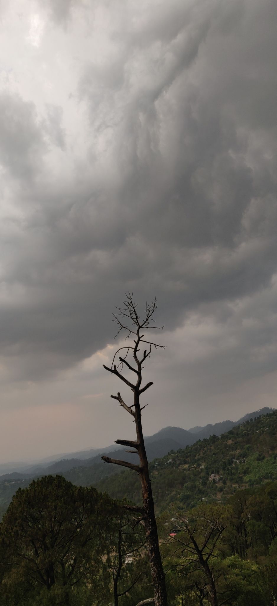 Photo of McLeod Ganj, Dharamshala, Himachal Pradesh, India by Shubh Sharma