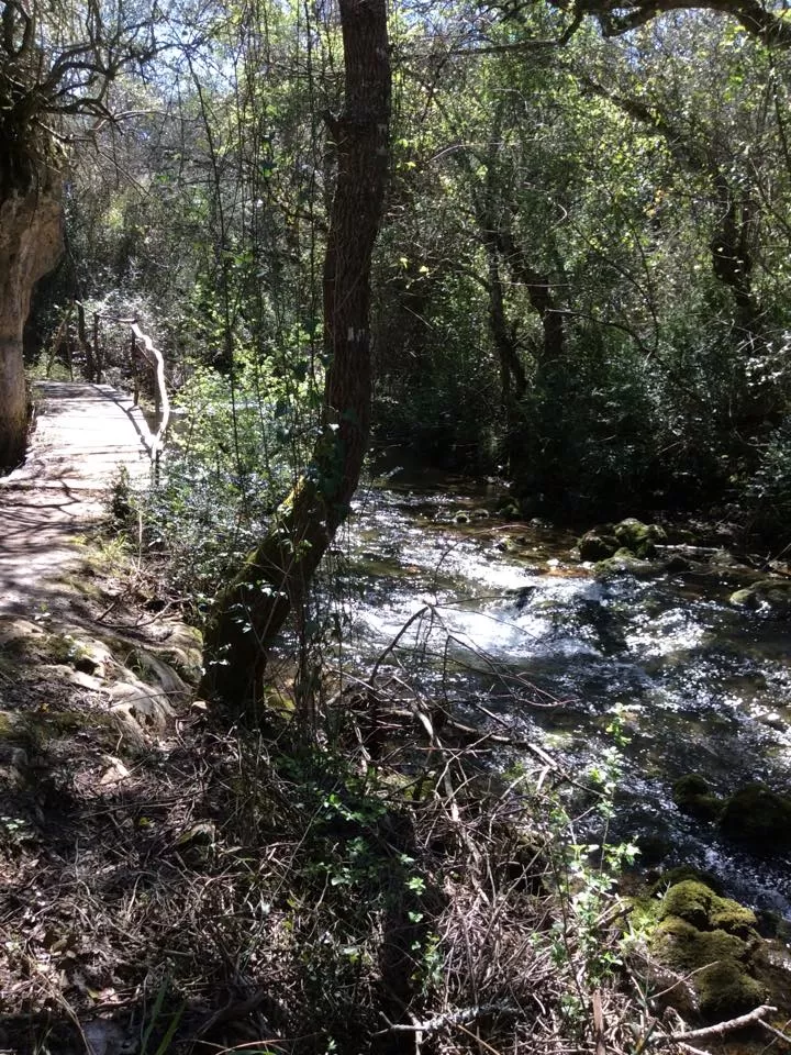 Photo of Fungalvaz, Torres Novas, Portugal by Portugalholidays4u.com
