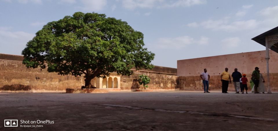 Photo of Jaipur Trip - Cover each and every corner of World Heritage City PinkCity Jaipur by Abhishek Tanwar