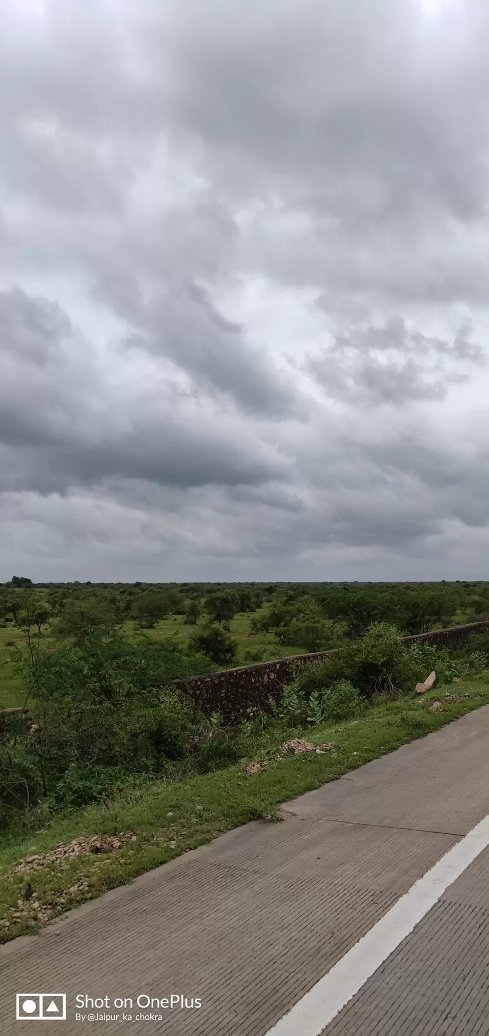 Photo of Mukundra Tiger Reserve Forest Office (DCF), Sector C, Shrinath Puram, Kota, Rajasthan, India by Abhishek Tanwar