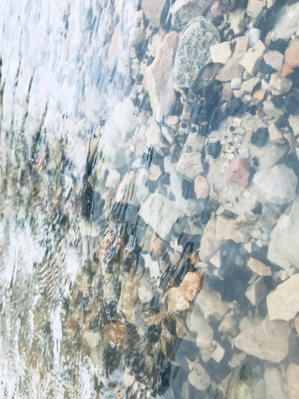 Photo of Mukundra Tiger Reserve Forest Office (DCF), Sector C, Shrinath Puram, Kota, Rajasthan, India by Abhishek Tanwar