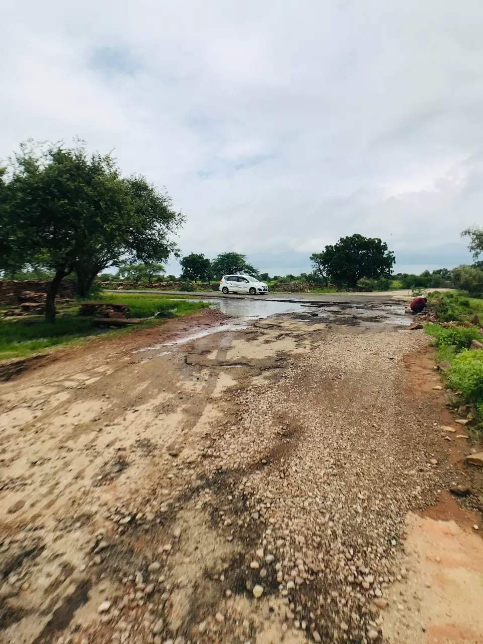 Photo of Mukundra Tiger Reserve Forest Office (DCF), Sector C, Shrinath Puram, Kota, Rajasthan, India by Abhishek Tanwar