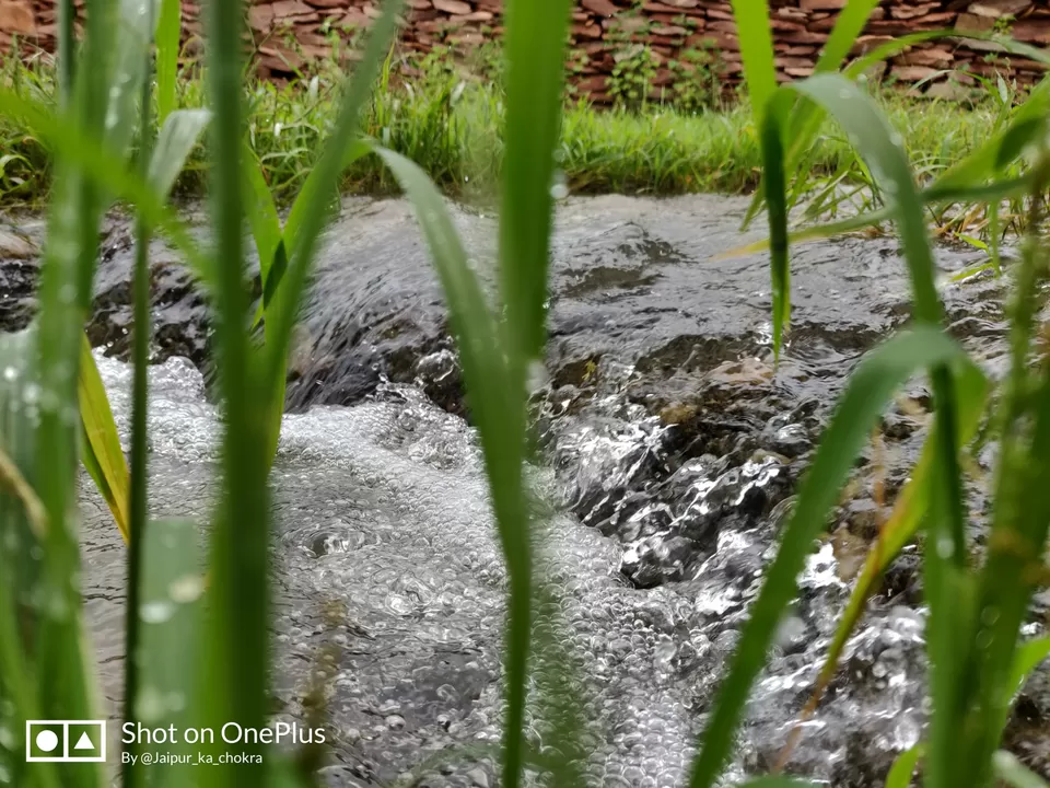 Photo of Mukundra Tiger Reserve Forest Office (DCF), Sector C, Shrinath Puram, Kota, Rajasthan, India by Abhishek Tanwar