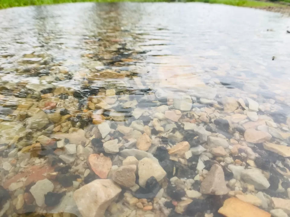 Photo of Mukundra Tiger Reserve Forest Office (DCF), Sector C, Shrinath Puram, Kota, Rajasthan, India by Abhishek Tanwar