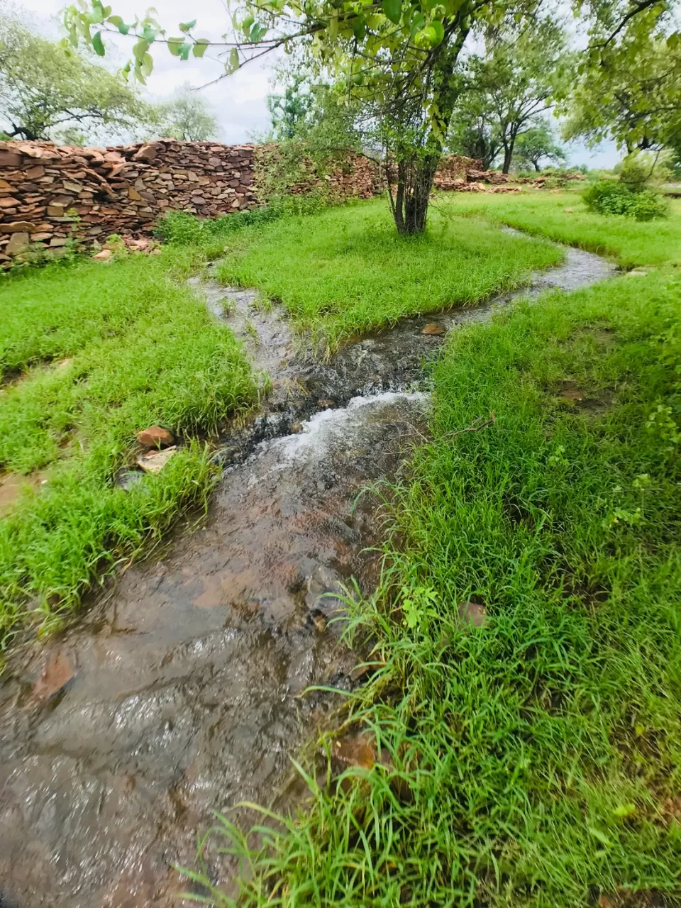 Photo of Mukundra Tiger Reserve Forest Office (DCF), Sector C, Shrinath Puram, Kota, Rajasthan, India by Abhishek Tanwar
